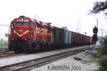 FCEN 207