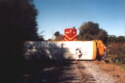 School Bus
