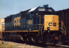 Photos by Kevin Andrusia