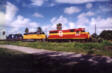 FEC 202