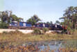 FEC 125