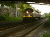 MBTA 1138 at Hyde Park