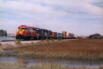 FEC 2000