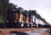 FEC 705