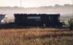 NS3241 at Mulberry FL