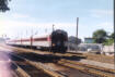 Readville Shuttle