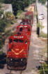 FCEN 55